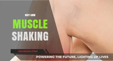 Why Do Arm Muscles Shake During Workouts? Causes and Solutions