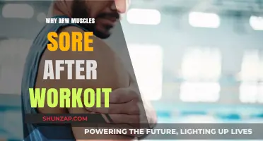 Understanding Post-Workout Muscle Soreness: Causes and Recovery Tips