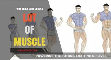 Debunking the Myth: Asian Muscle Growth Potential Explained