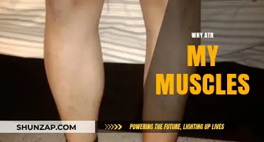 Muscle Aches: Why Your Muscles Hurt