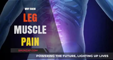 Understanding Back Leg Muscle Pain: Causes, Prevention, and Relief Strategies