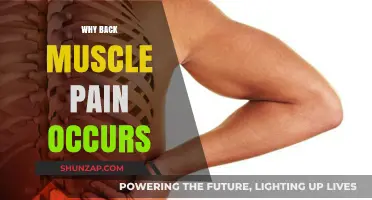 Understanding Back Muscle Pain: Common Causes and Prevention Tips