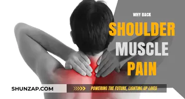 Understanding Back Shoulder Muscle Pain: Causes, Prevention, and Relief Tips