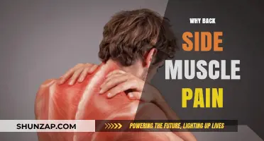 Understanding Back Side Muscle Pain: Causes, Prevention, and Relief Strategies