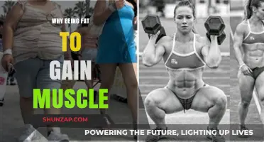 Bulk to Build: The Surprising Benefits of Fat for Muscle Gain