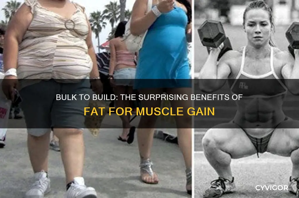 why being fat to gain muscle