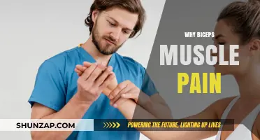Understanding Biceps Muscle Pain: Causes, Prevention, and Effective Relief Strategies