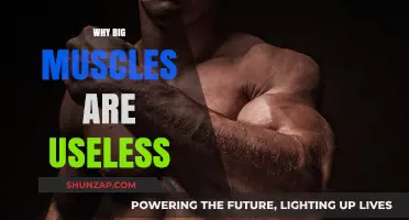 Big Muscles: Impressive, but Impractical