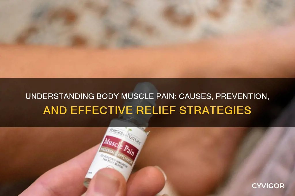 why body muscle pain