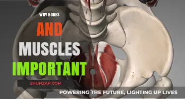Strong Bones, Strong Muscles, Strong You