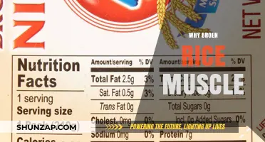 Brown Rice: Muscle Builder and Health Superfood