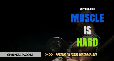 Unraveling the Mysteries: Why Building Muscle Is Harder Than It Seems
