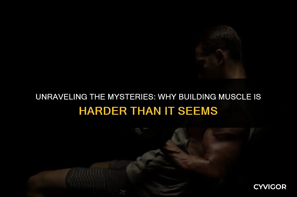 why building muscle is hard