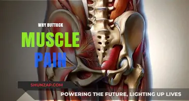 Understanding Buttock Muscle Pain: Causes, Symptoms, and Effective Relief Strategies