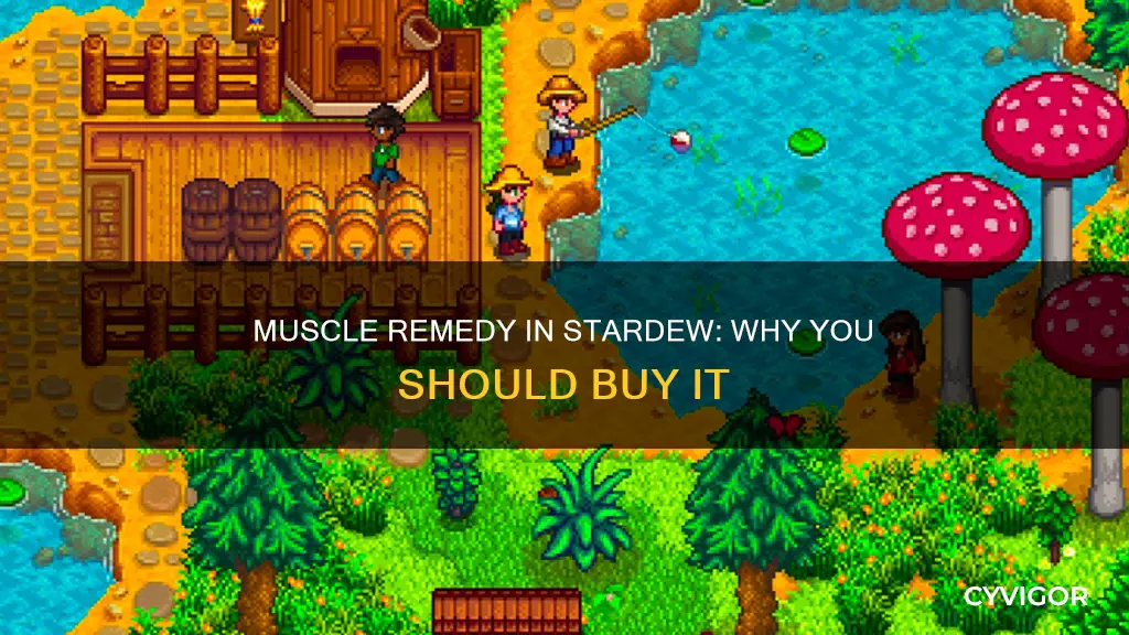 why buy muscle remedy stardew