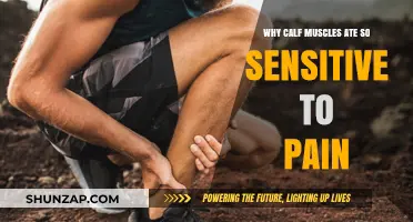 Why Calf Muscles Are Surprisingly Sensitive to Pain: Unraveling the Mystery