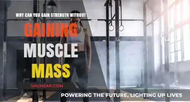 Strength Gains Without Size: Unlocking Power Beyond Muscle Mass