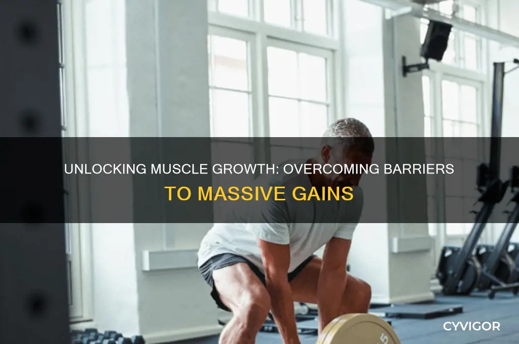 why cant i gain massive muscle