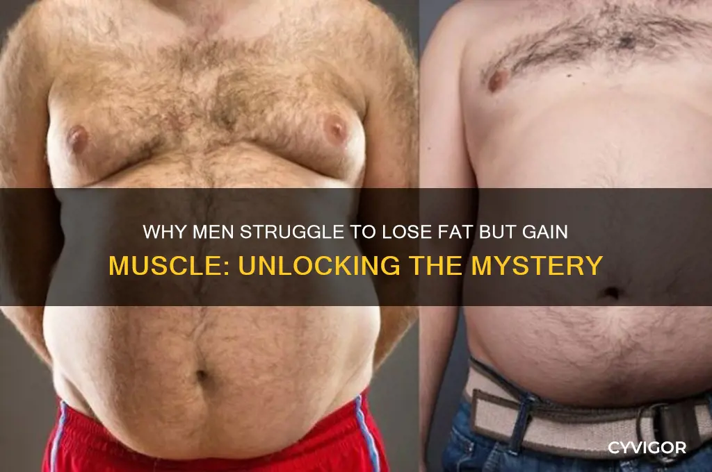 why cant i lose fat men but gain muscles