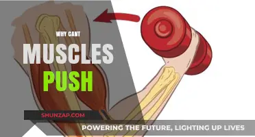 Pushing Limits: Muscles' Unilateral Nature