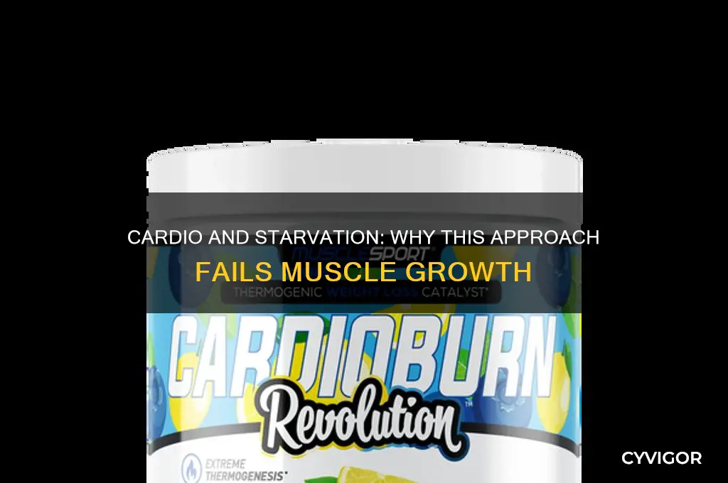 why cardio and starvation isn