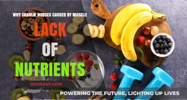 Nutrient Deficiencies and Muscle Cramps: Unraveling Charlie Horse Causes
