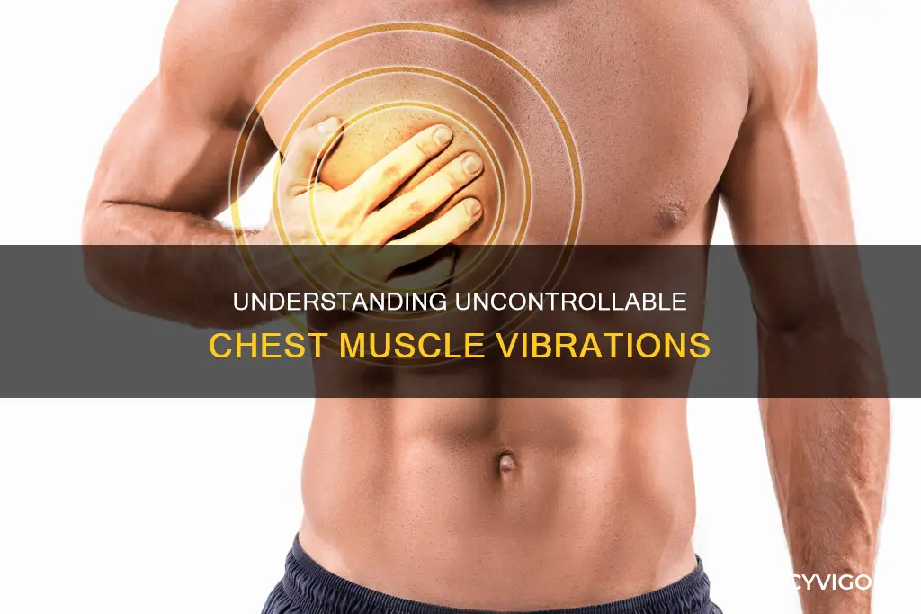 why chest muscles vibrate automatically