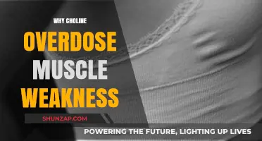 Choline Overdose: Muscle Weakness and Its Causes