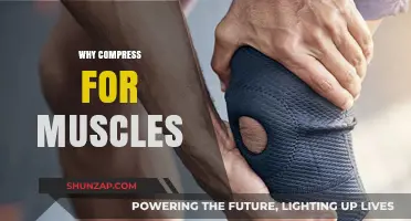 Build Muscle, Recover Faster: The Benefits of Compression