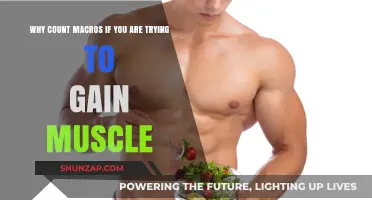 Macro Counting for Muscle Gain: Fueling Growth Effectively