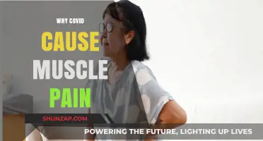 Why COVID-19 Triggers Muscle Pain: Understanding the Science Behind It