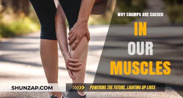 Understanding Muscle Cramps: Causes, Prevention, and Effective Relief Strategies