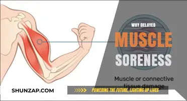 Delayed Muscle Soreness: Why It Happens and How to Prevent It