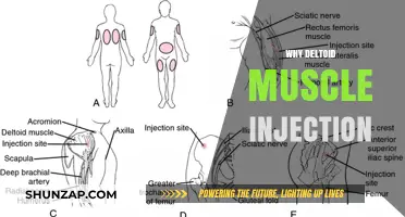Deltoid Muscle Injections: Quick, Effective, and Safe