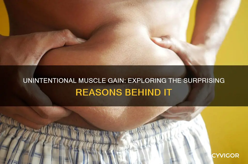 why did i gain muscle without working out