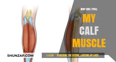 Understanding Calf Muscle Strains: Causes, Prevention, and Recovery Tips