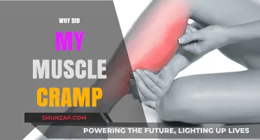 Unraveling the Mystery: Why Do Muscles Cramp?