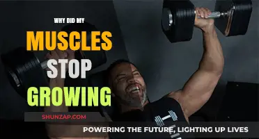 Why Your Muscle Growth Stalled: Unlocking the Plateau Puzzle