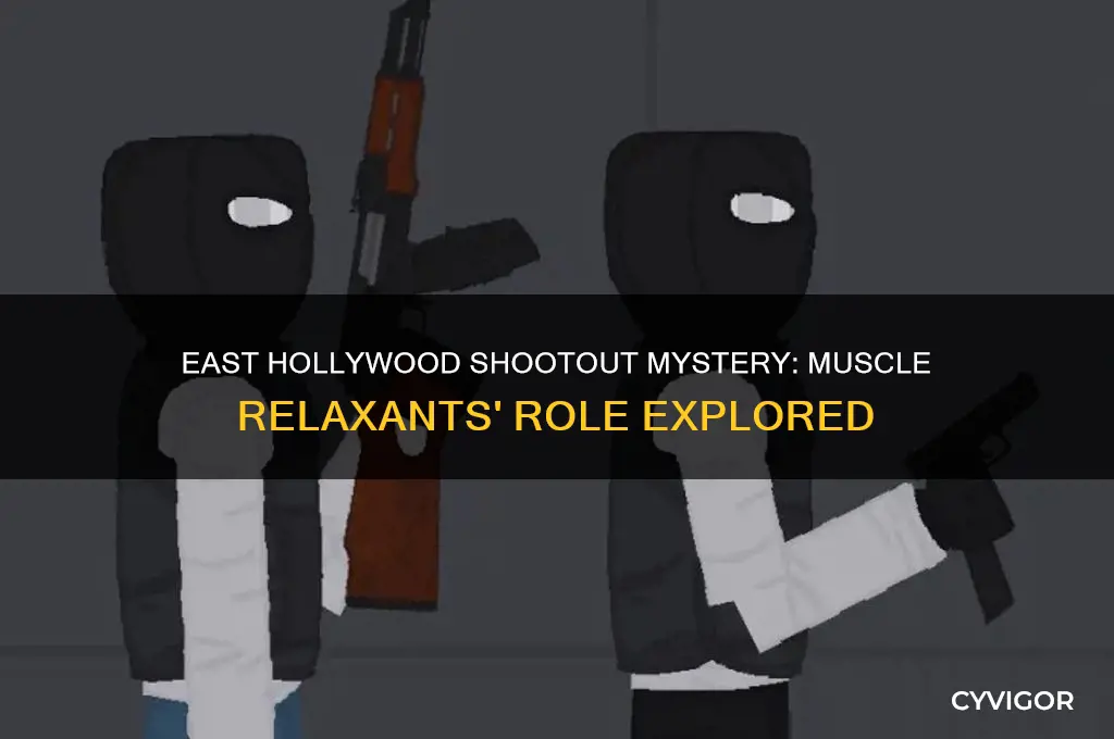 why did the east hollywood shootout take muscle relaxants