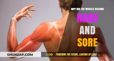 Why Muscles Harden and Ache: Understanding Delayed Onset Muscle Soreness