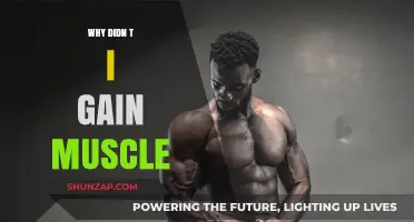 Why Didn't I Gain Muscle? Uncovering Common Mistakes and Solutions