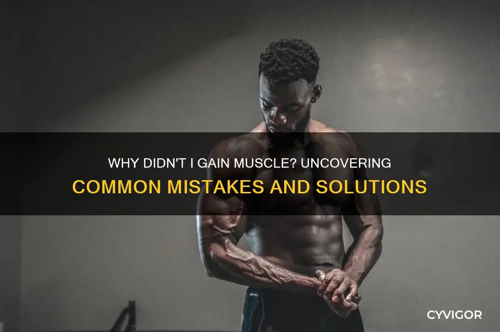 why didn t i gain muscle