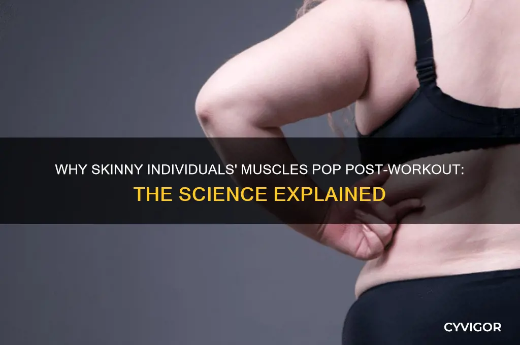 why do a skinny person muscles bulge after working out