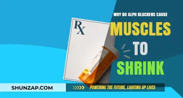 Alpha Blockers and Muscle Atrophy: Unraveling the Shrinking Effect