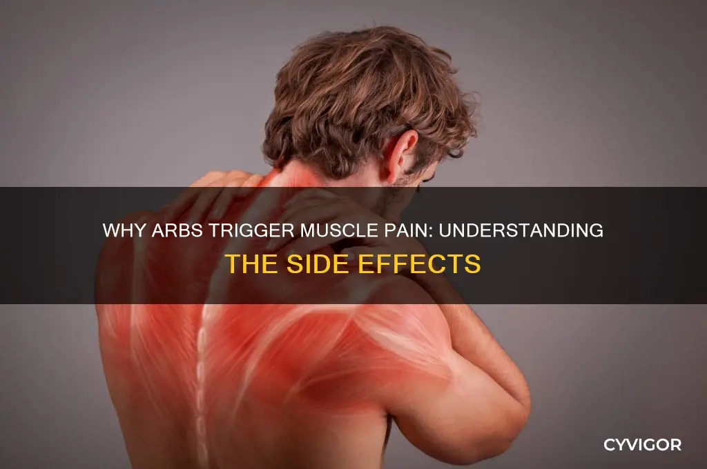 why do arbs cause muscle pain