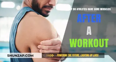 Understanding Post-Workout Muscle Soreness in Athletes: Causes and Recovery