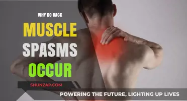 Understanding Back Muscle Spasms: Causes and Prevention Tips