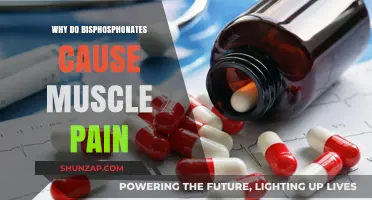 Bisphosphonates and Muscle Pain: Unraveling the Uncomfortable Side Effect