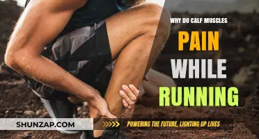 Calf Muscle Pain While Running: Causes, Prevention, and Relief Tips