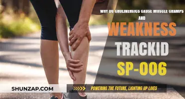 Cholinergics and Muscle Side Effects: Cramps, Weakness Explained